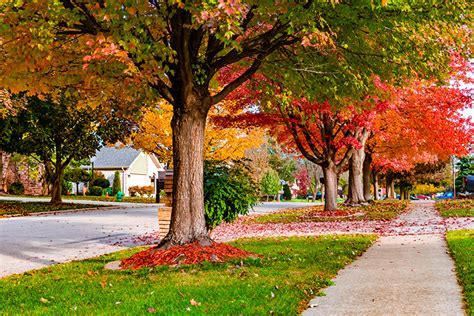 5 Tips For Fantastic Fall Landscaping Proactive Landscaping