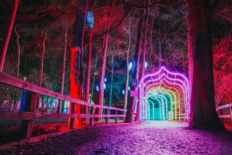 The Enchanted Forest Yorkshire Attractions
