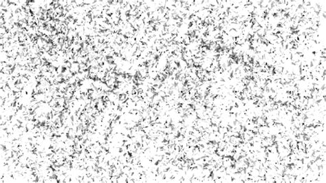 Grain And Noise White Transparent Old Film Grain Png Noise Effect Free