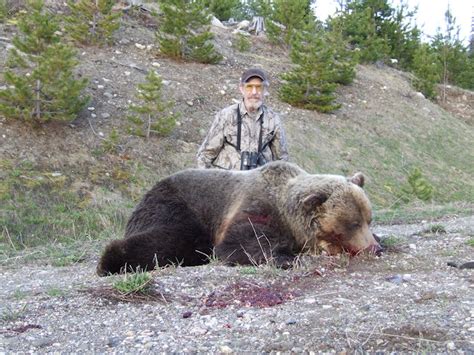 Grizzly Bear Hunting Pics