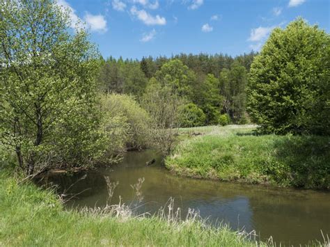 Idyllic Landscape Of Winding River Stream Meander At Lush Green Meadow