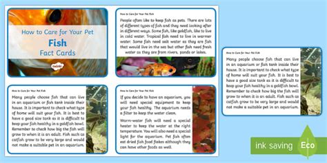 Goldfish Facts And Activities Twinkl