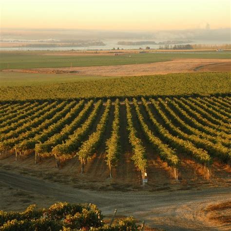 Best Washington State Wineries To Visit Washington State Winery