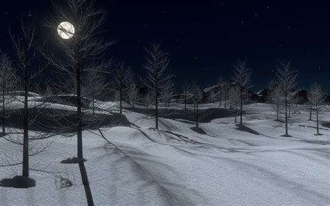 Beautiful Winter Midnight Snow Trees Full Moon Forest