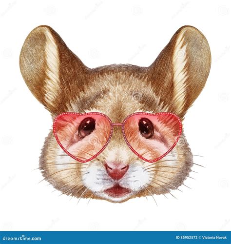 Mouse In Love Portrait Of Mouse With Sunglasses Stock Illustration
