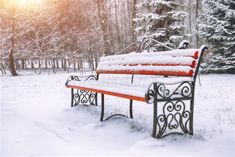 Park Bench And Trees Covered By Heavy Snow Stock Photo Image Of Bush
