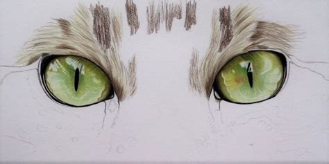 How To Draw Cat Eyes With Colored Pencil Carrie L Lewis Artist Cat Eyes Drawing Cat