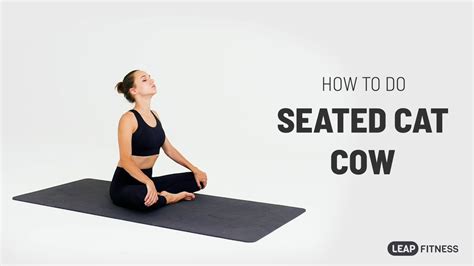 How To Do Seated Cat Cow Youtube