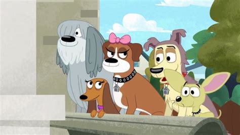The show follows five dogs (lucky, cookie, niblet, strudel, and squirt) who find homes for dogs at shelter 17. Pound Puppies Discussion: Season 1 Review