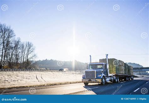 Blue Big Rig Semi Truck Transporting Bales Of Hay On Pallets On Two