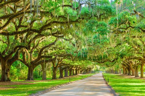 15 Fun Southern Usa Road Trips For Your Bucket List Southern Trippers