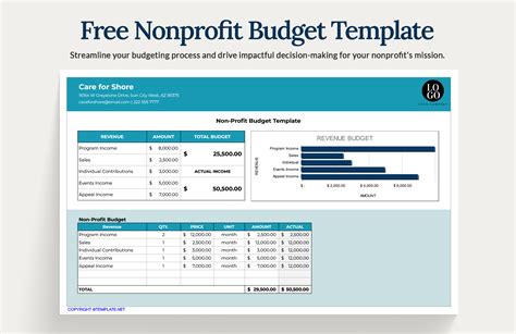 Free Non Profit Budget Templates And Examples Edit Online And Download
