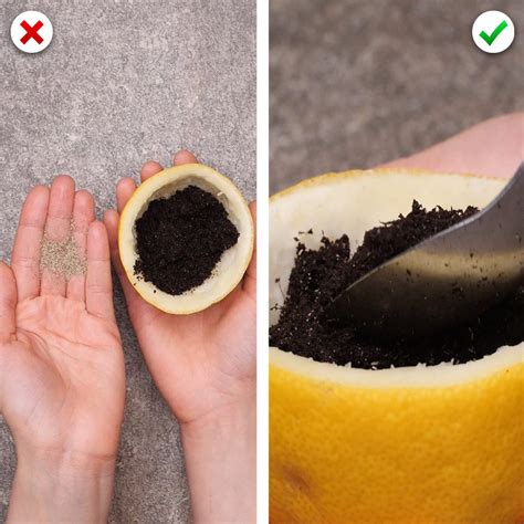 gardening hacks you ll want to know gardening hacks you ll want to know by crafty panda