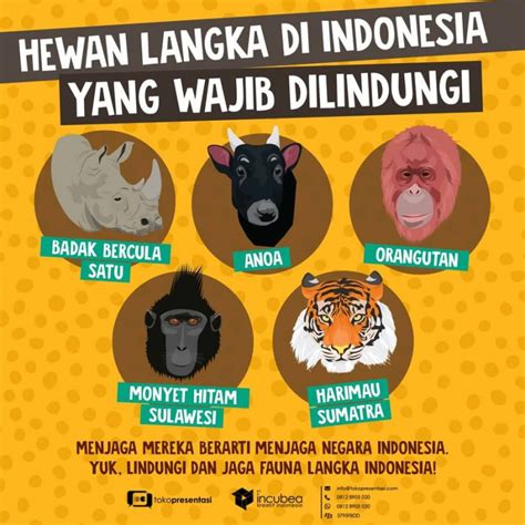 Infografis Hewan Langka Indonesia Yang Wajib Dilindungi