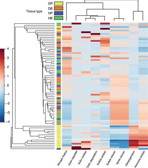 Taxonomy Based Functional Profiling Of Bacterial Communities In Samples