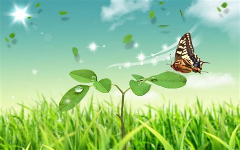 Abstract Nature Butterfly Hd Wallpaper Download Wallpapers Page