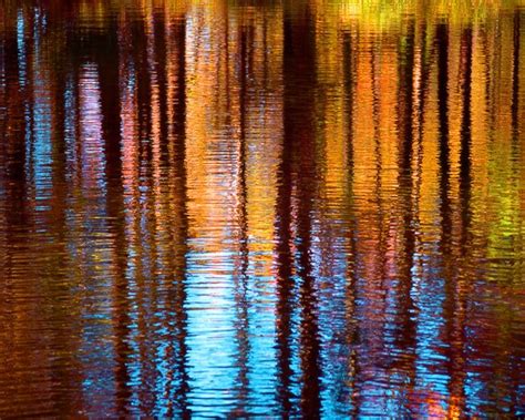Items Similar To Colorful Tree Reflection In Water Fine