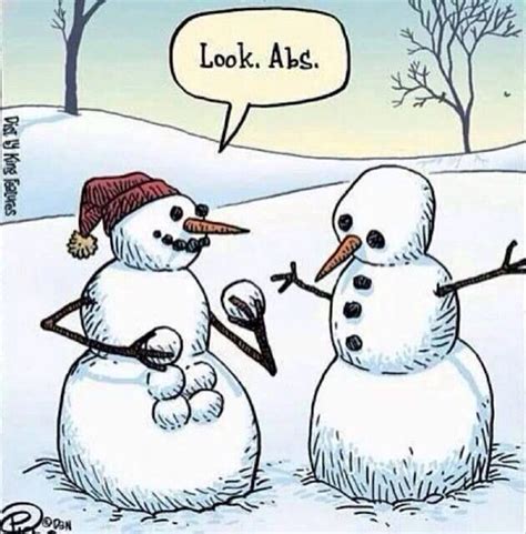 Winter Humor Funny Christmas Pictures Christmas Humor Funny Cartoons