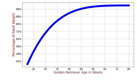Golden Retriever Growth Chart Golden Retriever Weight Calculator