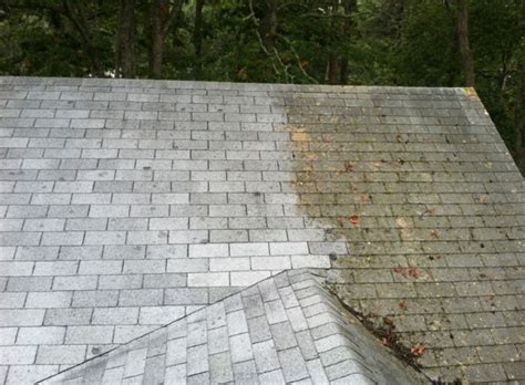 Cleaning Roofs With A Pressure Washer Its Pros And Cons