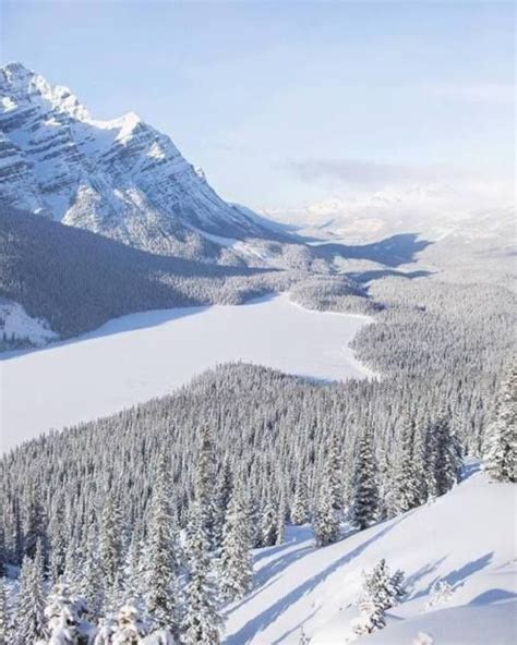 Peyto Lake Alberta Canada Daniel Han Winter Landscape Winter