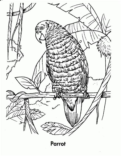 Rainforest animals coloring pages free (with images. Tropical Rainforests Coloring Pages - Coloring Home