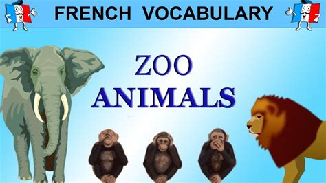 French Vocabulary Zoo Animals In French Youtube