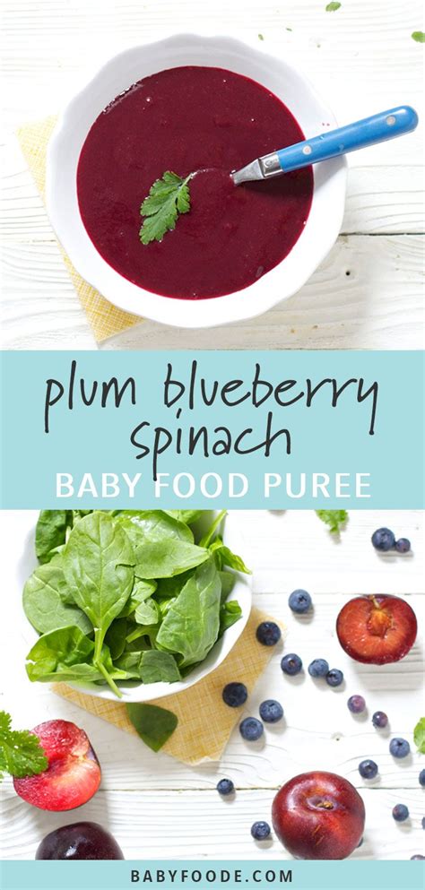 Place into an ice tray and freeze the baby plum puree. Plum, Blueberry + Spinach with Cilantro Baby Food Puree ...