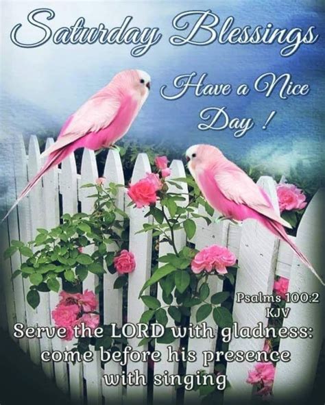 Pink Bird Saturday Blessings Pictures Photos And Images For Facebook