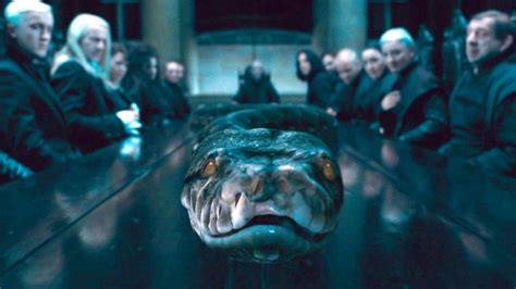 How And When Did Voldemort Get Nagini
