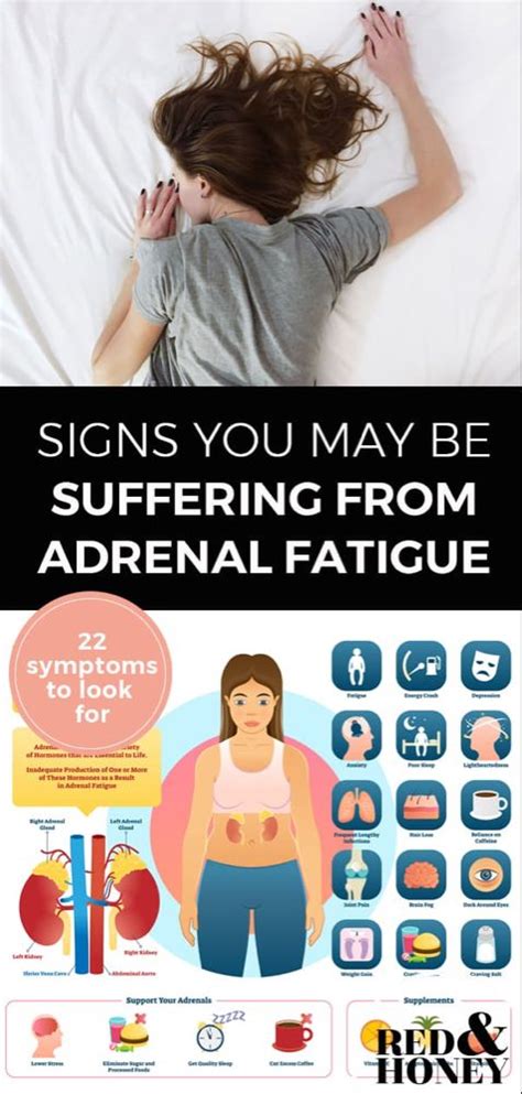 22 Signs You Might Be Suffering From Adrenal Fatigue What Is Adrenal
