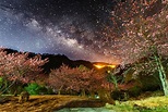 真的在台灣啦 「櫻花銀河」美照驚艷感動全世界＠Rex Wu 的部落格｜PChome Online 個人新聞台