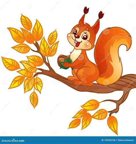 Cute Cartoon Squirrel With A Nut Sitting On Autumn Branch Stock Vector