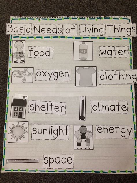 Basic Needs 1st Grade Science Primary Science Science Units Science