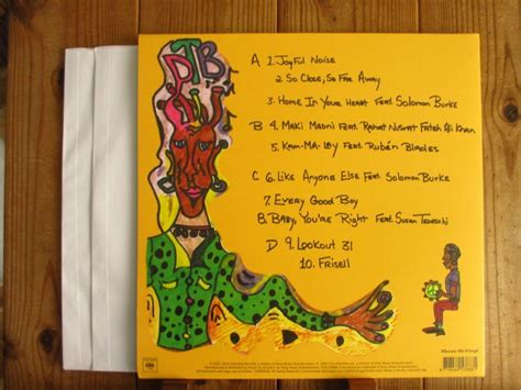 The Derek Trucks Band Joyful Noise Guitar Records