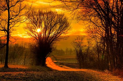 Nature Sun Sky Sunset Sunrise Forest Field Trees Leaves Colorful Road
