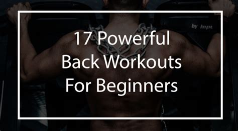 back workouts for beginners bar brothers groningen for calisthenics workout