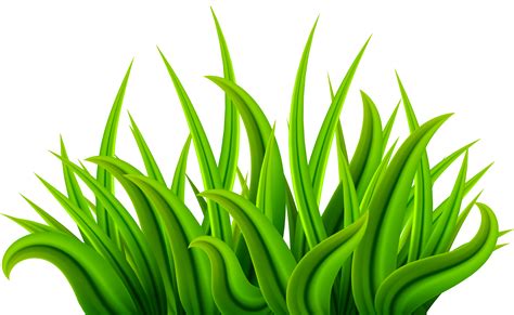 Green Grass Background Clipart Green Frog Plant Transparent Clip Art