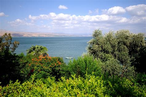 Galilee Highlights Full Day Trip From Tel Aviv · Over The Planet