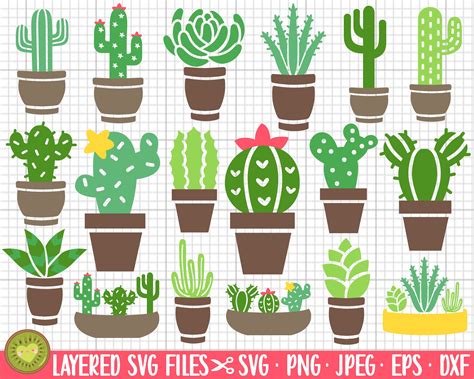 Cactus Svg Bundle Cricut Cut File Cactus Png Bundle Cacti Svgs Etsy