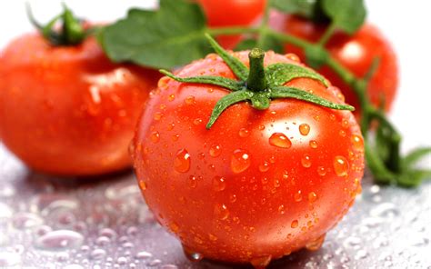 Tomato Full Hd Wallpaper And Background Image 2560x1600 Id368817