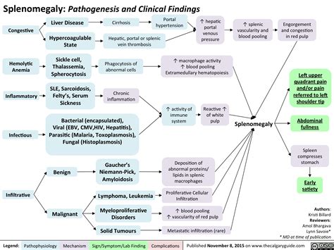 Splenomegaly: Pathogenesis and clinical findings | Calgary Guide