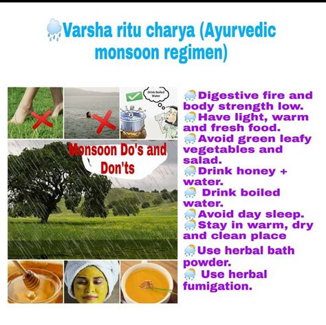 ayurvedic regime for rainy season to protect health amritam ayurveda