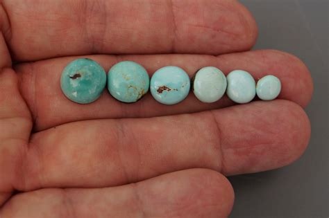 Natural Turquoise Round Cabochons Light Green Lot Group Natural 31 5