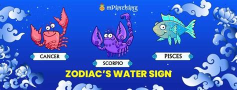 Zodiac Water Signs Which Zodiac Signs Are Water Signs