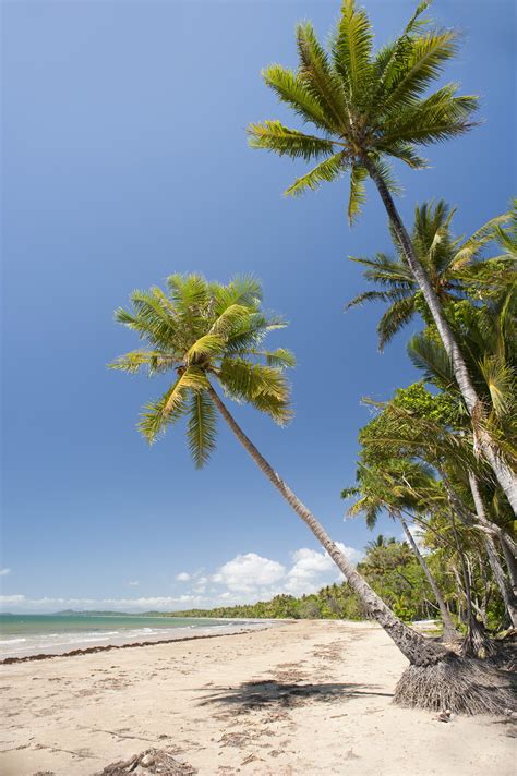 Free Stock Photo Of Tropical Beach Palms Photoeverywhere