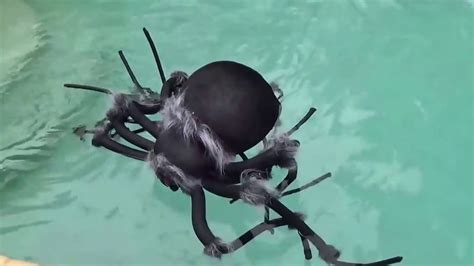 Spider Attacks Girl Swimming In Pool Mermaid Tail Spider Bite Toys To