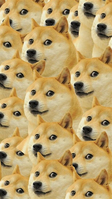 1290x2796px 2k Free Download Shiba Inu Doge Home Screen Dog Meme Hd
