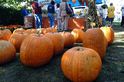 16th Annual Great Cortland Pumpkinfest Celebrate The Harvest Season
