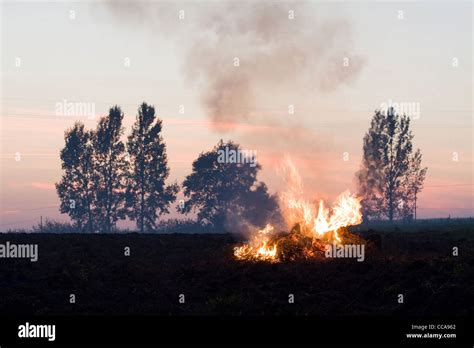 Fire In Detail Stock Photo Alamy